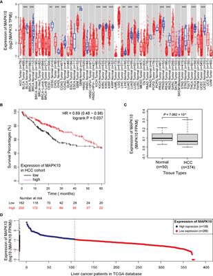 MAPK10 Expression as a Prognostic Marker of the Immunosuppressive Tumor Microenvironment in Human Hepatocellular Carcinoma